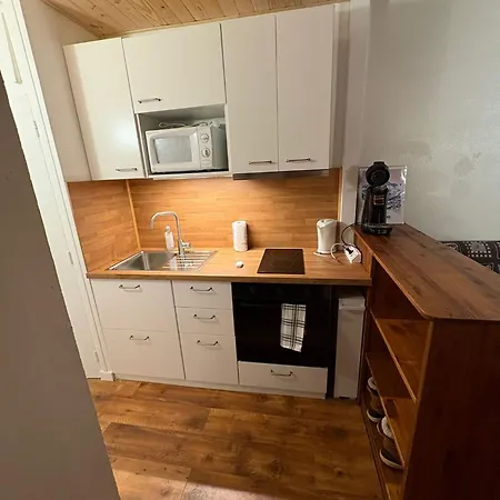 Apartment 4 6 Pers Les 2 Alpes Les Deux Alpes